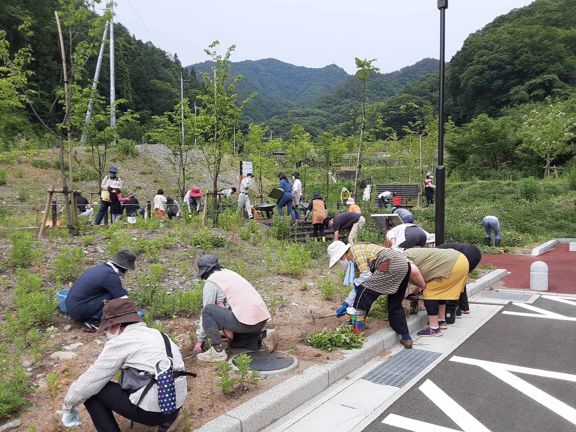 【長野原町花いっぱいプロジェクト】温井沢桜公園の作業をしました。［次回作業日のお知らせ］