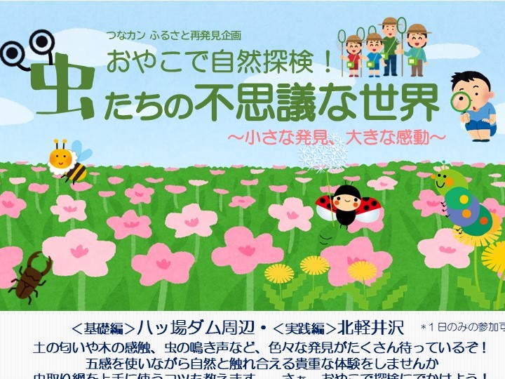 【ふるさと再発見】おやこで自然体験!虫たちの不思議な世界 のご案内